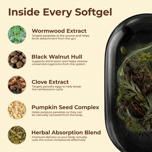 Wormwood Black Walnut Cloves